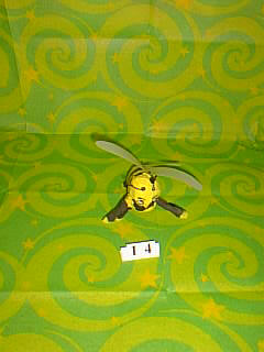Bug Picture