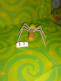 Bug Picture