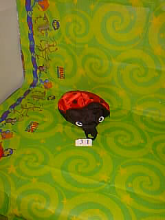 Bug Picture