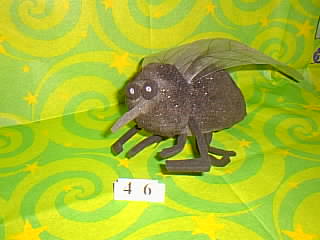 Bug Picture