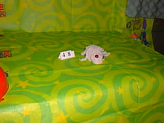Bug Picture