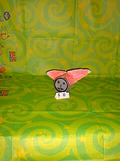 Bug Picture