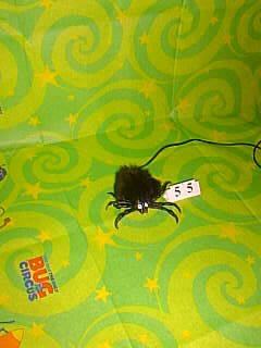 Bug Picture